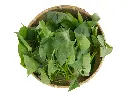 地瓜葉 (4).webp