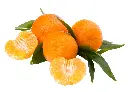 柑橘 (3).webp