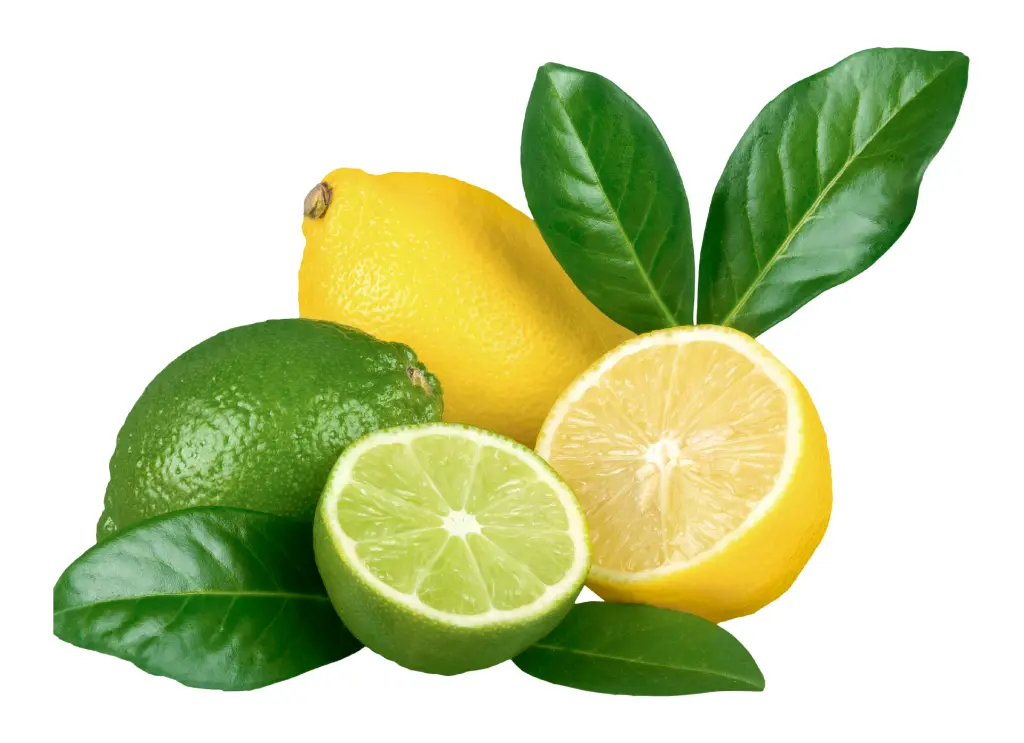 檸檬 (3).webp