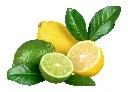 檸檬 (3).webp