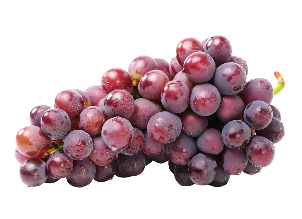 葡萄 (4).webp