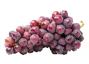 葡萄 (4).webp