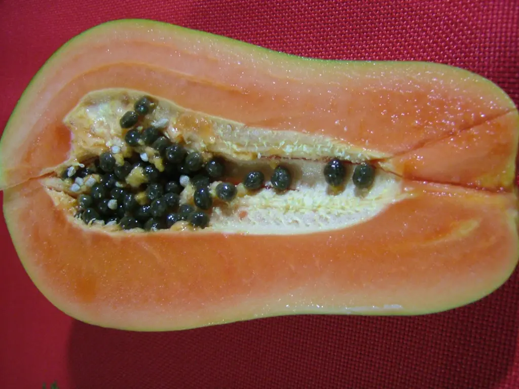 California_Papaya_ID.webp