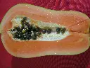 California_Papaya_ID.webp