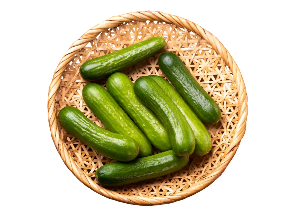 小黃瓜 (2).webp