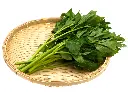 明日葉 (3).webp
