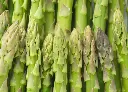 蘆筍
