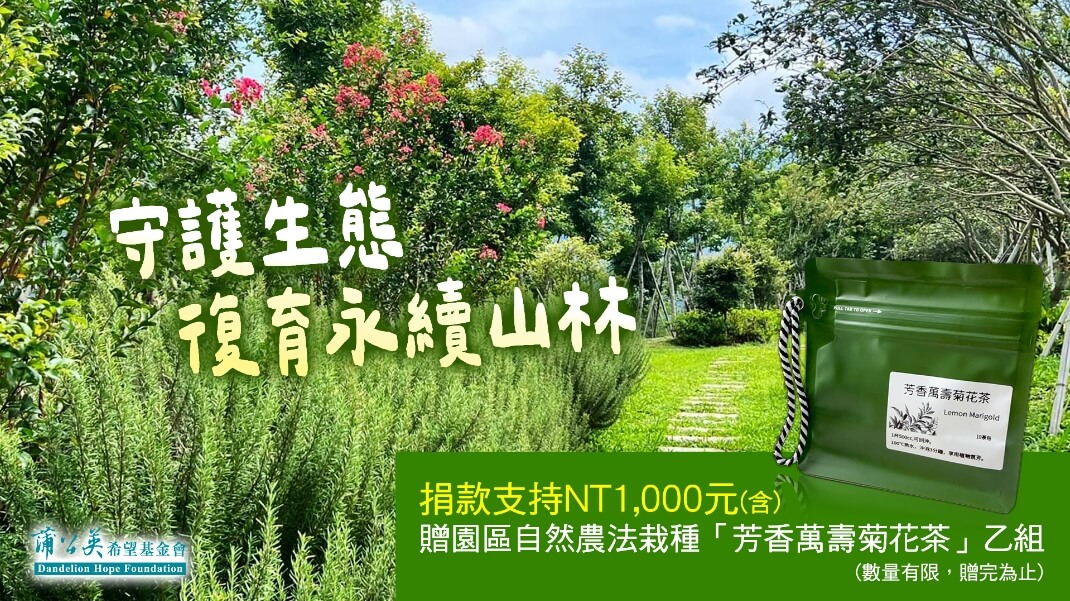 專案縮圖
